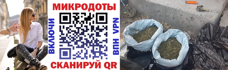 где можно купить   Морозовск  Галлюциногенные грибы прущие грибы 