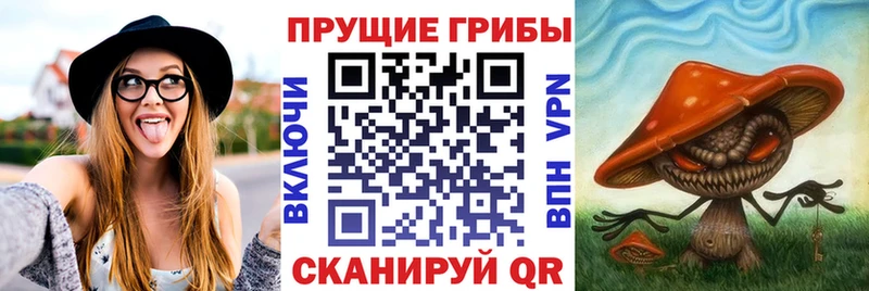 Псилоцибиновые грибы Magic Shrooms Морозовск